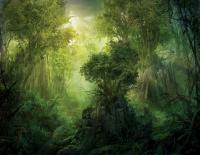 c-i-high-forest-jpg.jpg